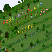 Park_5997_VoxelWoodLand